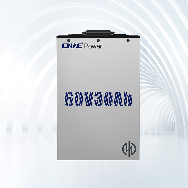 CNAE PACK NA<sup>+</sup> 6030Ah(Takeout version)