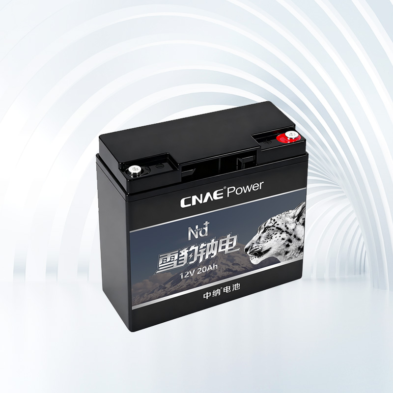 CNAE PACK NA<sup>+</sup> 12V20Ah
